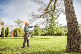 Best Tree Mulching  in Fitzgerald, GA