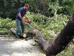 Best Emergency Tree Removal  in Fitzgerald, GA