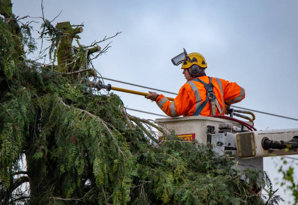 Best Hazardous Tree Removal  in Fitzgerald, GA
