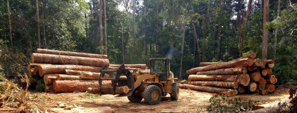 Best Grass Overseeding  in Fitzgerald, GA