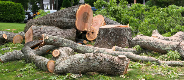Best Storm Damage Tree Cleanup  in Fitzgerald, GA